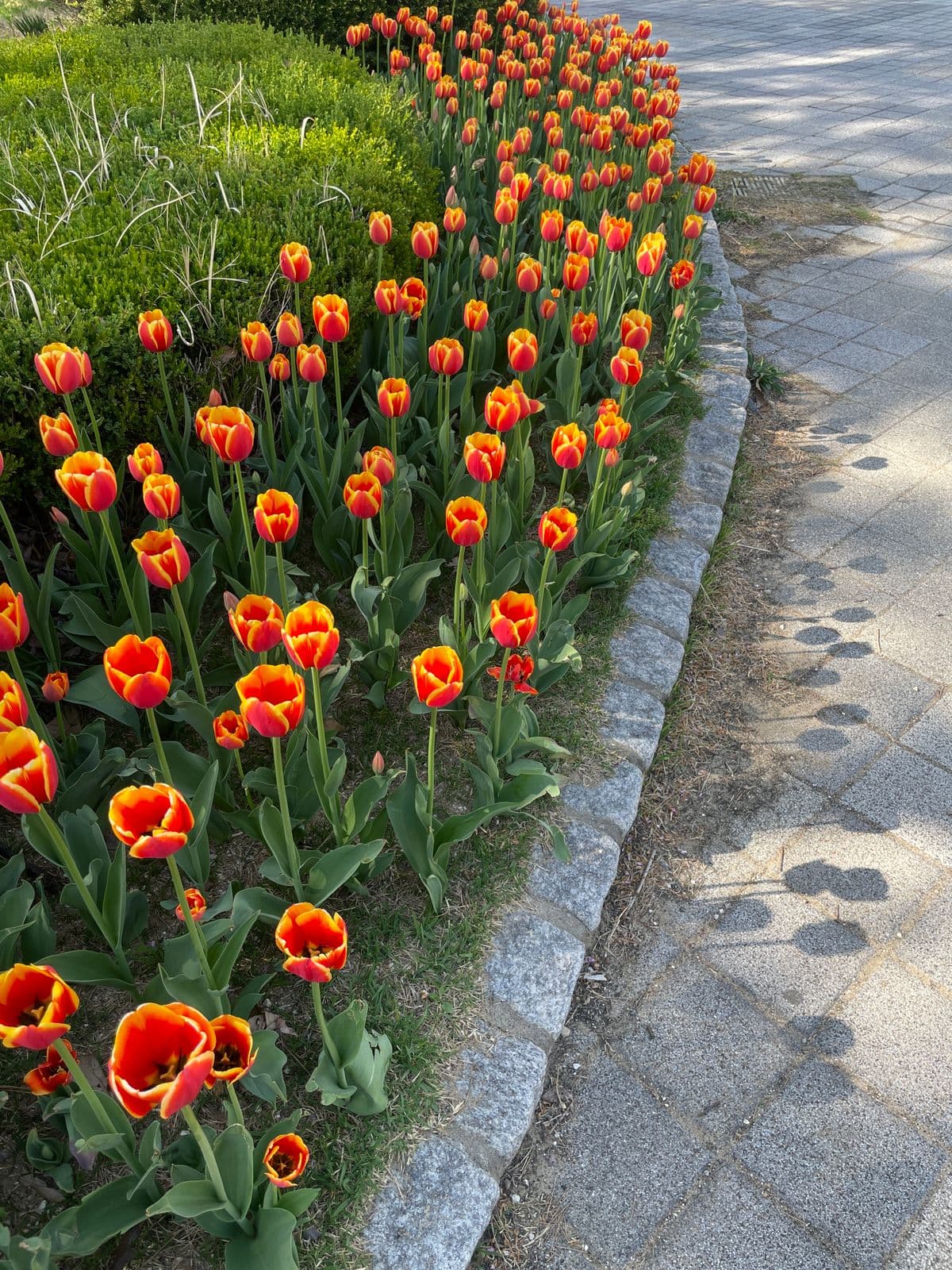 Stone-cobble garden border alongside a flower bed
