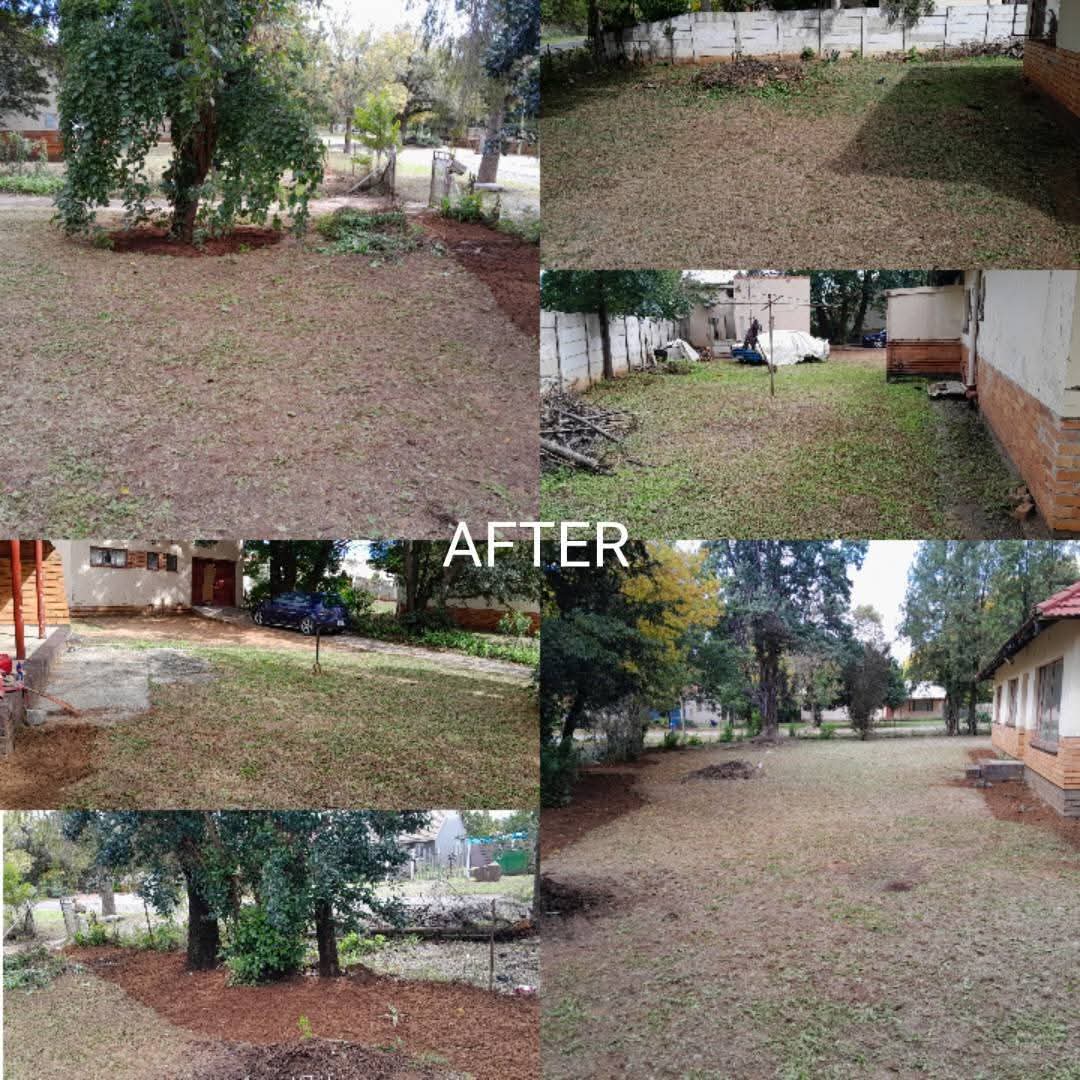 The same yard cleared and tidied after the Lawncare Wizards cleanup